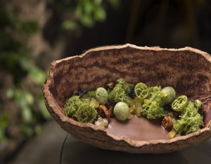 Selva de chocolate - Amaz selva_de_chocolate