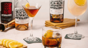 peruvian vermouth tasting mesa 247